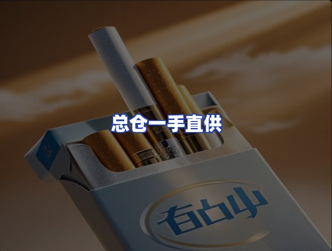 专业团队